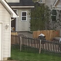Advanced Disposal - Overflowing trash - 2 weeks haven't picked up.