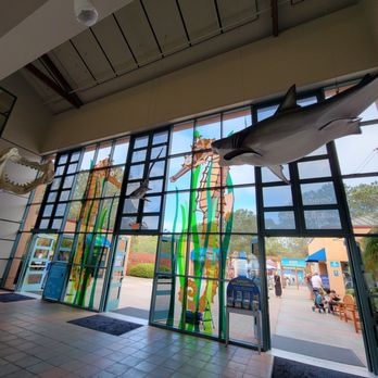 Birch Aquarium - New Front glass - Aquariums Near Me - La Jolla, California Birch Aquarium - New Front glass - Aquariums Near Me - La Jolla, California