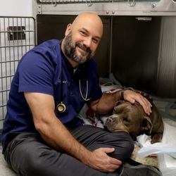Brewerton Hospital for Animals