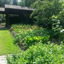 Jardin Botanique Jean Massart - Une parcelle du jardin des plantes cultivées