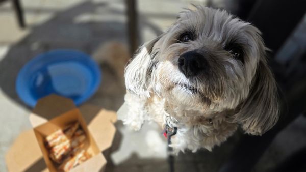 Ada’s Fish House by null