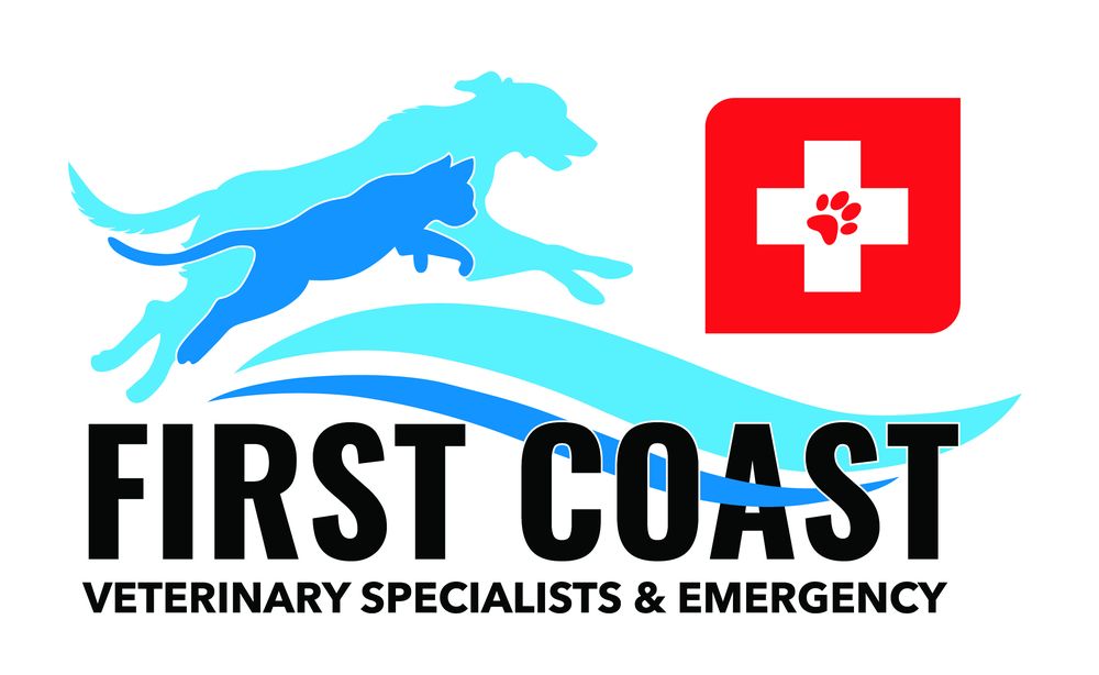 FIRST COAST VETERINARY SPECIALISTS Updated October 2024 32 Photos