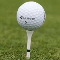 Mainland Golf Course - It's a golf ball on the corse