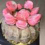 Gardners Gourmet Baking