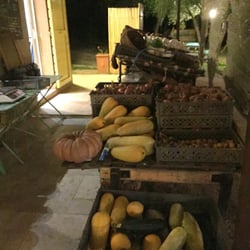 Le Potager du Nebbio - Les légumes à la vente (photo prise le soir)