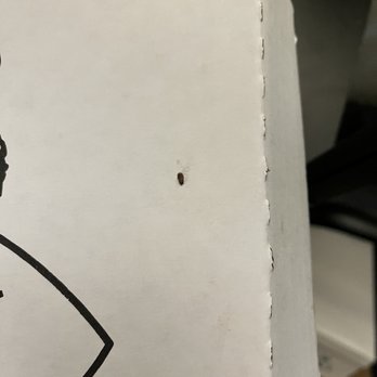 Magoo's Pizza Restaurant - Roach on box of pizza - Pizza Near Me - Bakersfield, California Magoo's Pizza Restaurant - Roach on box of pizza - Pizza Near Me - Bakersfield, California