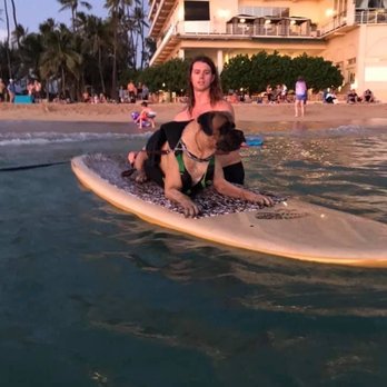 SUP DOG Hawaii - SUP DOG Hawaii working their magic - Paddleboarding Near Me - Haleiwa, Hawaii SUP DOG Hawaii - SUP DOG Hawaii working their magic - Paddleboarding Near Me - Haleiwa, Hawaii