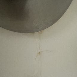 Second room bath drain Second room bath drain
