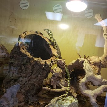 REPTILE FACTORY- RIVERSIDE - Reptile Shops Near Me - Riverside, California REPTILE FACTORY- RIVERSIDE - Reptile Shops Near Me - Riverside, California