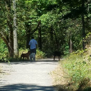 Wapato Park - Some days lots of dogs lots of people - Parks Near Me - Tacoma, Washington Wapato Park - Some days lots of dogs lots of people - Parks Near Me - Tacoma, Washington