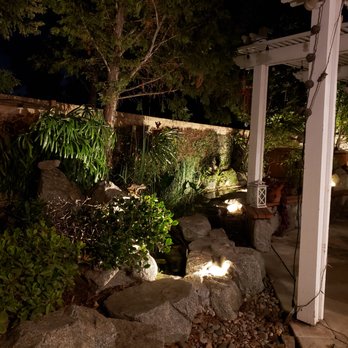 Marins Landscaping - Marin Landscape accent lighting and shoring up staghorn fern on wall. - Landscaping Near Me