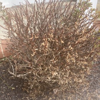 Superior SoftWash - Pressure Washers Near Me - Linthicum, Maryland