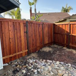Doctor Fence