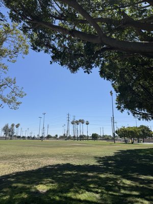 Maxwell Park by null