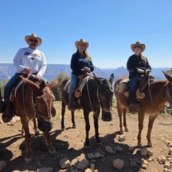 Mule Rides at the Grand Canyon - Group pics! Somewhat- Sheldon- Delilah