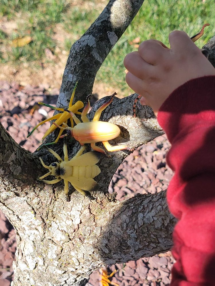 Lambs of Zion Daycare - childcare center in Elsmere, DE