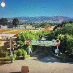 Uesugi Farms - Pumpkin Patch