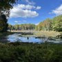 Photo of Zoar Valley