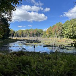Zoar Valley