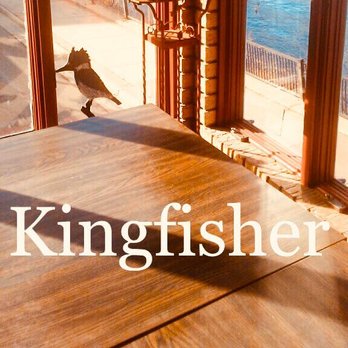 Kingfisher - a bird sitting on a wooden table - New American Near Me - Durand, Wisconsin Kingfisher - a bird sitting on a wooden table - New American Near Me - Durand, Wisconsin