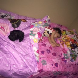First night home First night home