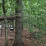 Photo of The Loon Center & Markus Wildlife Sanctuary