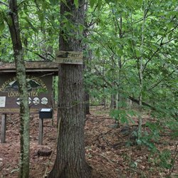 The Loon Center & Markus Wildlife Sanctuary