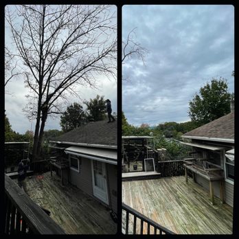 Roderick And Sons Tree Specialists - Tree Services Near Me Roderick And Sons Tree Specialists - Tree Services Near Me