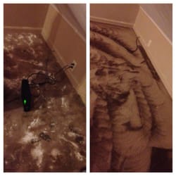 May Mark Carpet Cleaning - On the left you see poop dried into the carpet (I put down baking soda to reduce the smell) and on the right, May Mark's Magic.