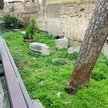 Torre Argentina - Fat kitties everywhere - Public Plazas Near Me - Rome, RM Torre Argentina - Fat kitties everywhere - Public Plazas Near Me - Rome, RM