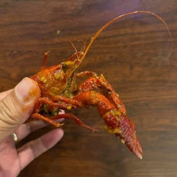 Cajun Kitchen - Cajun/Creole Near Me - Houston, Texas Cajun Kitchen - Cajun/Creole Near Me - Houston, Texas