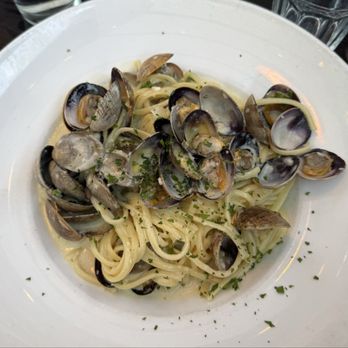 Sotto Mare - Clams Linguine with Manila Clams - Seafood Near Me - San Francisco, California Sotto Mare - Clams Linguine with Manila Clams - Seafood Near Me - San Francisco, California