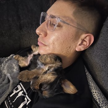 Heart Yorkie - Perfect spot - Pet Breeders Near Me Heart Yorkie - Perfect spot - Pet Breeders Near Me