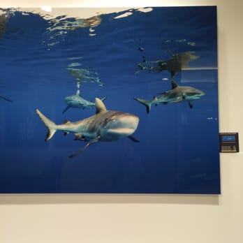 Gug Underwater - Art Galleries Near Me - Fort Lauderdale, Florida