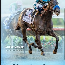 Fasig-Tipton Company