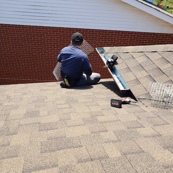 First Class Wildlife Removal - Pest Control Near Me