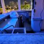 Photo of The Wave Hotel Condado