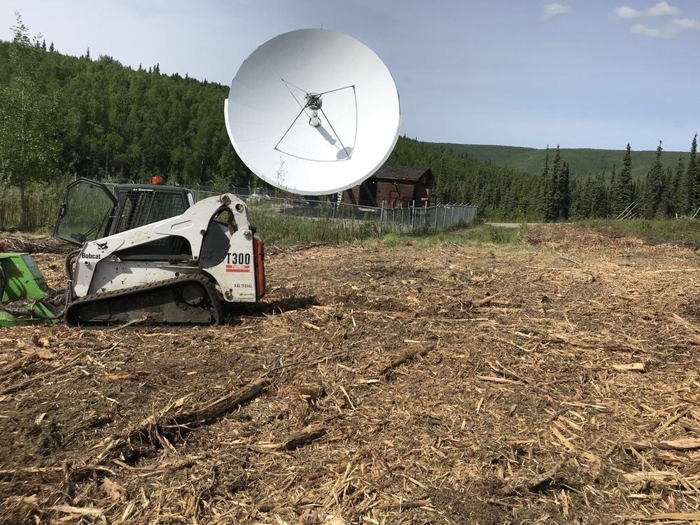 FAIRBANKS STUMP GRINDERS Updated July 2024 14 Photos 2610 Pacific