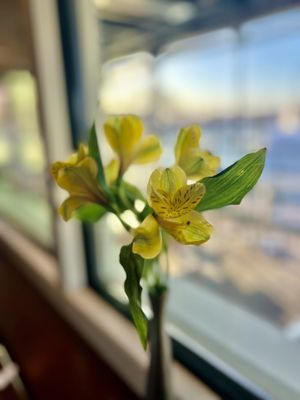 Carrol's Creek Cafe by null