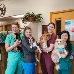 Foothills Animal Hospital