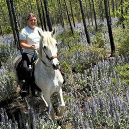 Spring in the Panhandle on horse is so beautiful!