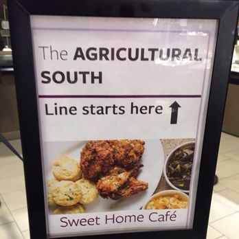Sweet Home Cafe - Cafes Near Me - Washington, DC, District of Columbia