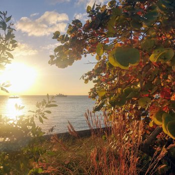 The Cleat Mia - Seafood Near Me - Key Biscayne, Florida