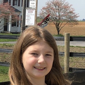 Old Windmill Farm - Attraction Farms Near Me - Ronks, Pennsylvania