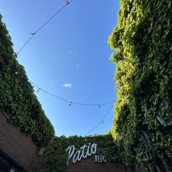 Brothers Cascadia Evergreen Pub - Ivy! - Brewpubs Near Me - Vancouver, Washington