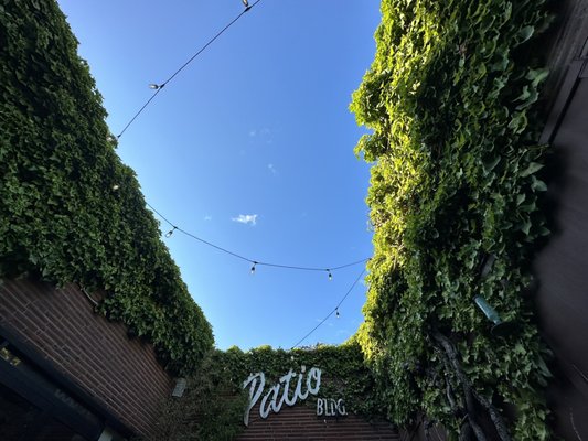 Brothers Cascadia Brewing Evergreen Pub by null
