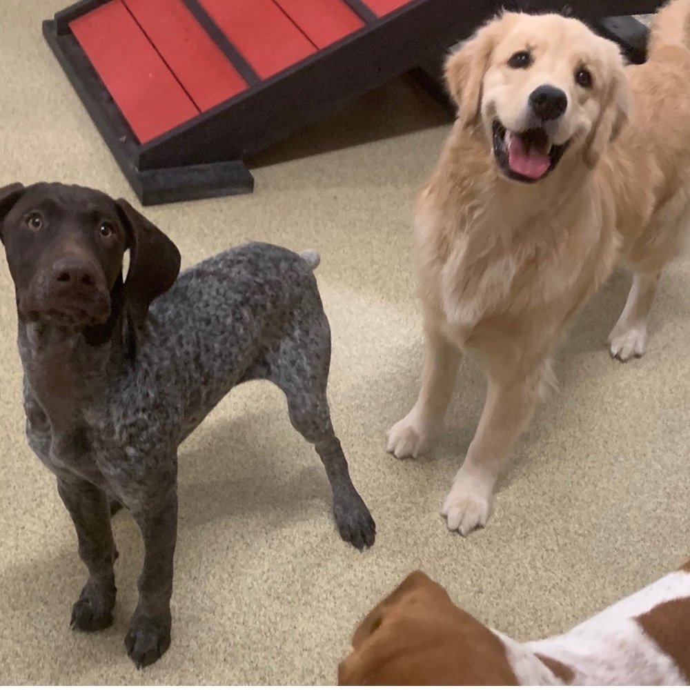 Our girl at daycare Our girl at daycare
