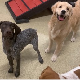 Our girl at daycare