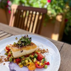Governor Bradford Restaurant - Pan Seared Halibut over summer succotash and purple cauliflower puree, with hazelnut dukkah