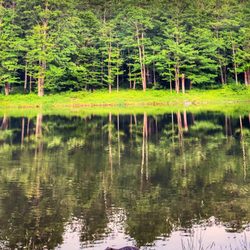 Allegany State Park